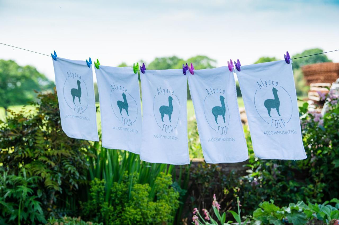 Alpaca Fold Villa Preston  Kültér fotó